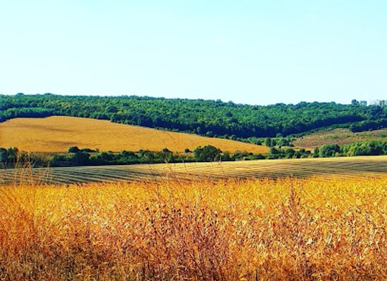 ukraine/podolian-upland/landmark/volhynian-podolian-upland