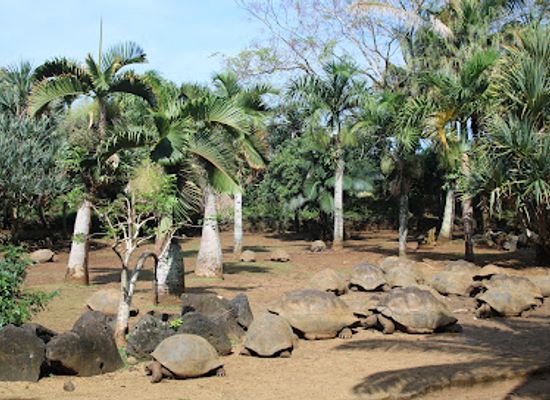 mauritius/savanne/landmark/la-vanille-nature-park