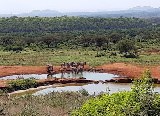 kenya/tsavo-region/landmark/msherembe-safaris-and-travel-voi-tsavo