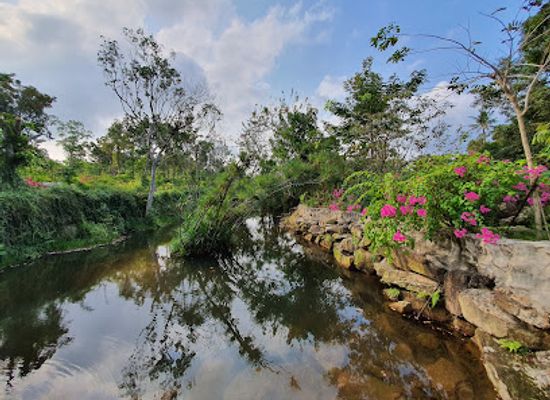 vietnam/phu-quoc/landmark/suoi-tranh-waterfall