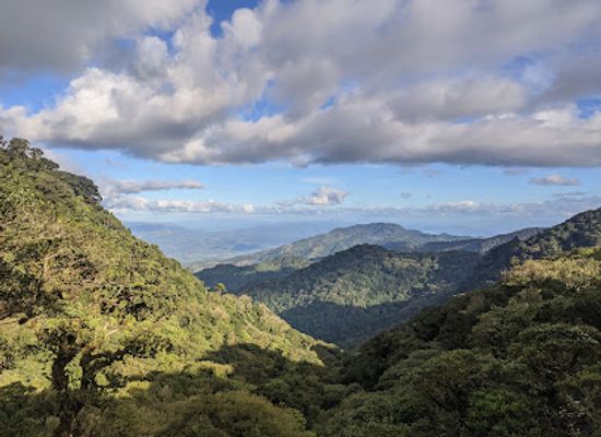 honduras/aguan-valley/landmark/parque-nacional-la-tigra