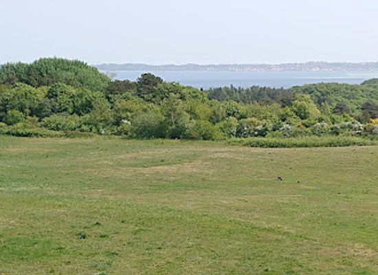 denmark/mols-bjerge/attraction/mols-bjerge-stien