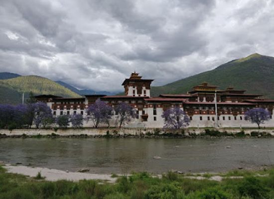 bhutan/wangdue-phodrang/landmark/jigme-singye-wangchuck-national-park
