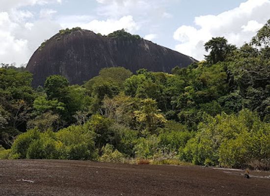 suriname/sipaliwini-district/landmark/voltz-berg