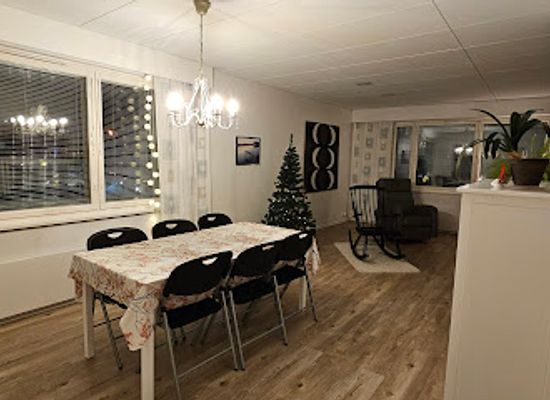 finland/rovaniemi/landmark/laina-beach-dog-park