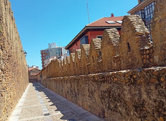 spain/castile-and-leon/landmark/puerta-moneda