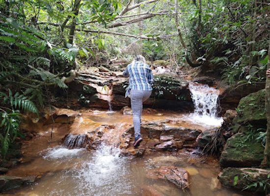brazil/serra-do-roncador/landmark/pico-do-roncador