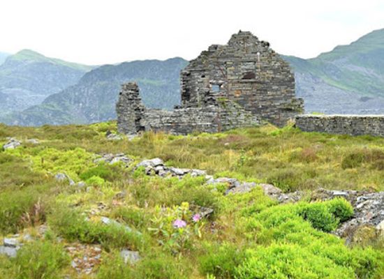 united-kingdom/merionethshire/attraction/zip-world-llechwedd-2
