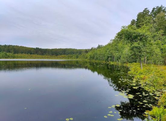 estonia/voru-county/landmark/karula-national-park