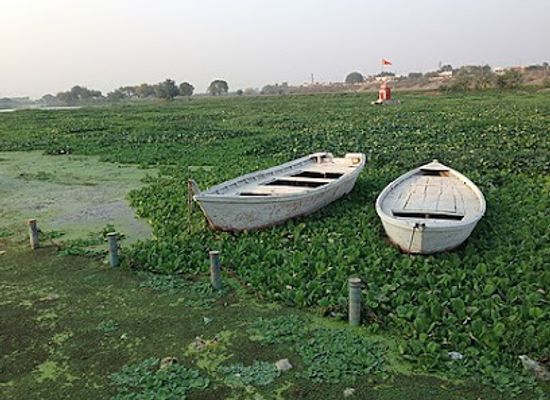 india/lucknow/gomti-nagar/landmark/gomti-river-uttarpradesh