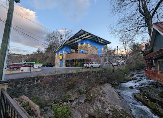 tennessee/gatlinburg/landmark/ripley-s-mountain-coaster