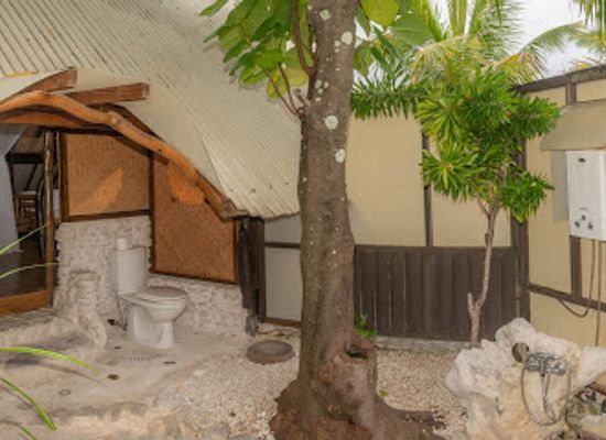 french-polynesia/rangiroa/landmark/tevahine-dream