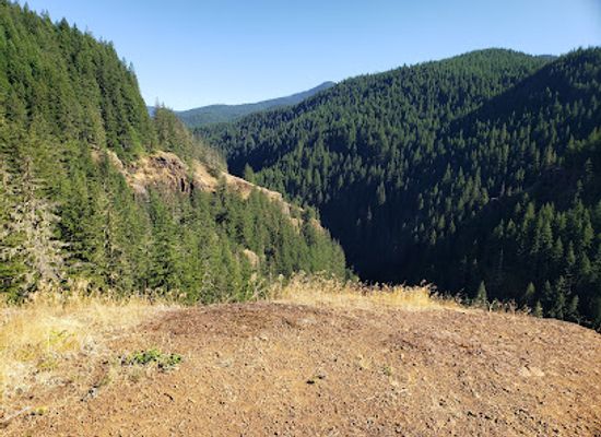 oregon/clackamas-county/landmark/salmon-huckleberry-wilderness