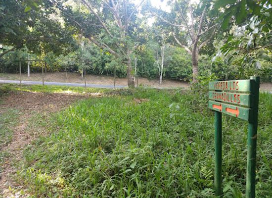 puerto-rico/la-cordillera-central/landmark/monte-choca-state-park