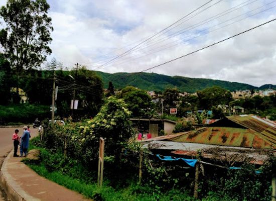 india/shillong/upper-shillong/landmark/rhino-heritage-museum