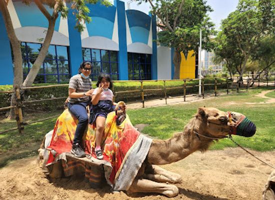 united-arab-emirates/northern-emirates/landmark/dubai-dolphinarium