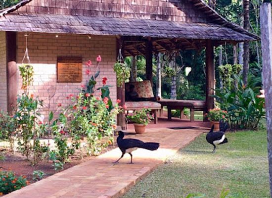 guyana/upper-takutu-upper-essequibo/landmark/atta-rainforest-lodge