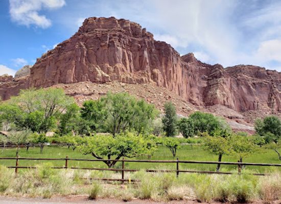 utah/west-desert/landmark/gifford-homestead