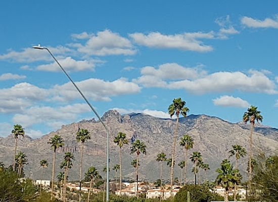 arizona/santa-catalina-mountains/landmark/children-s-memorial-park