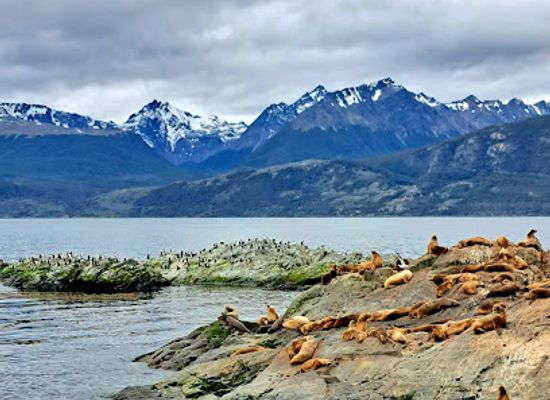 chile/tierra-del-fuego/landmark/isla-de-los-fuegos