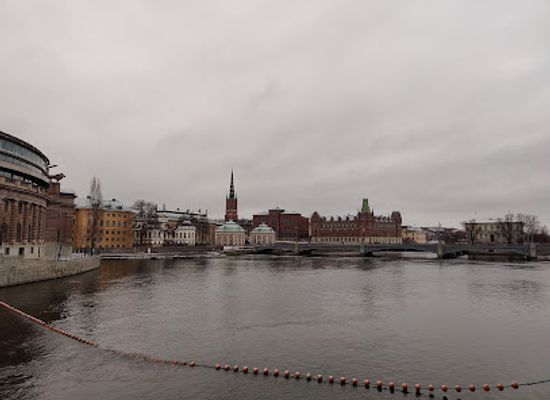 sweden/stockholm/landmark/homeless-fox-statue