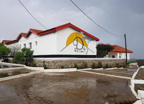 djibouti/obock-region/landmark/day-forest-national-park