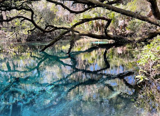 florida/juniper-springs-recreation-area/landmark/florida-trail-juniper-springs-recreation-area-trailhead