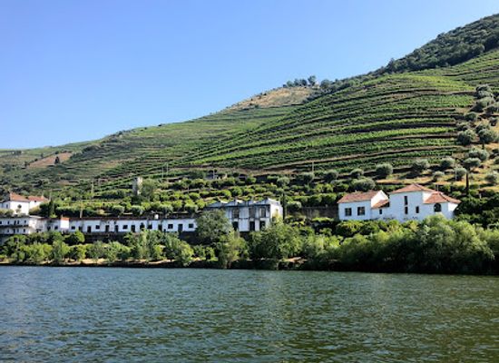 portugal/minho/landmark/douro-exclusive-douro-valley-tours