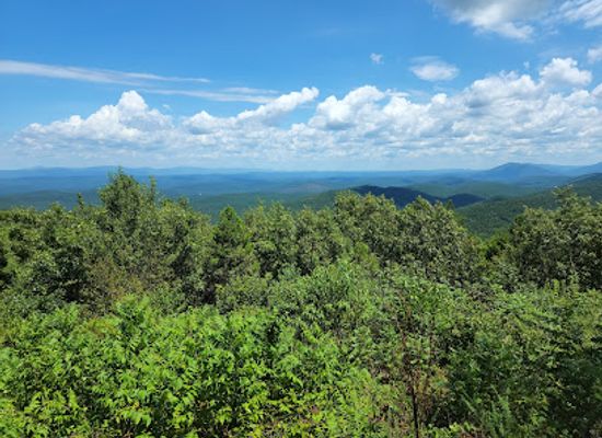 arkansas/ouachita-mountains/landmark/ouachita-national-forest