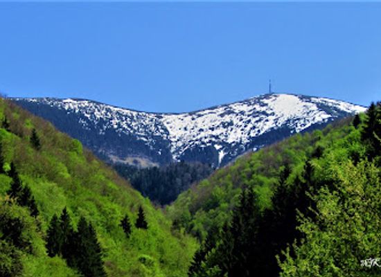 romania/bihor-mountains/landmark/varful-bihor