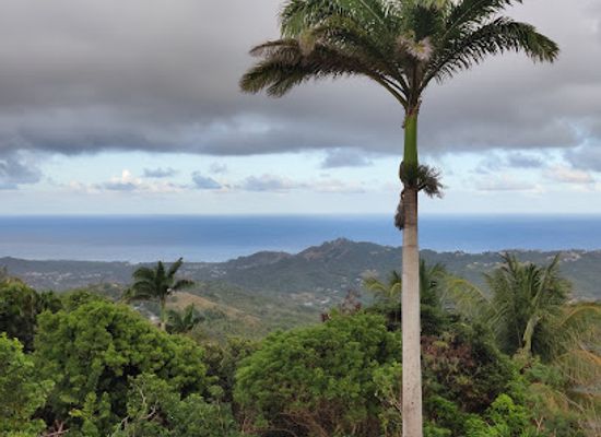 barbados/saint-michael/landmark/mount-hillaby