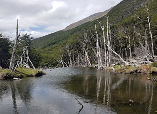 argentina/tierra-del-fuego/landmark/cascada-submarino