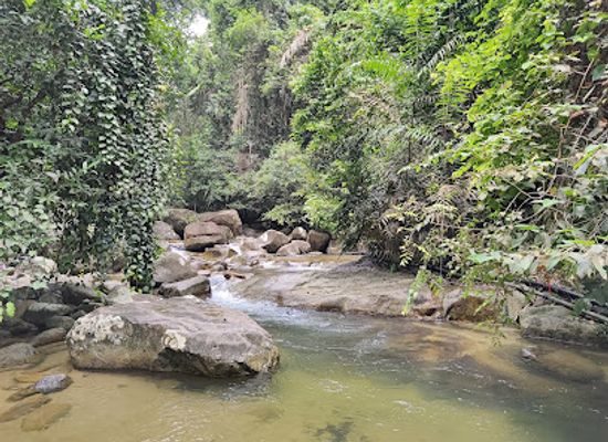 malaysia/southern-region/landmark/taman-negara-endau-rompin