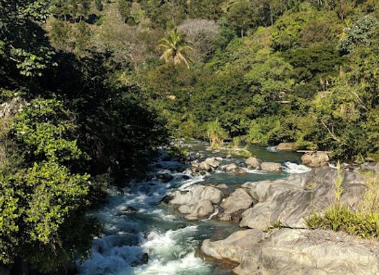 dominican-republic/los-haitises/landmark/parque-nacional-jose-armando-bermudez