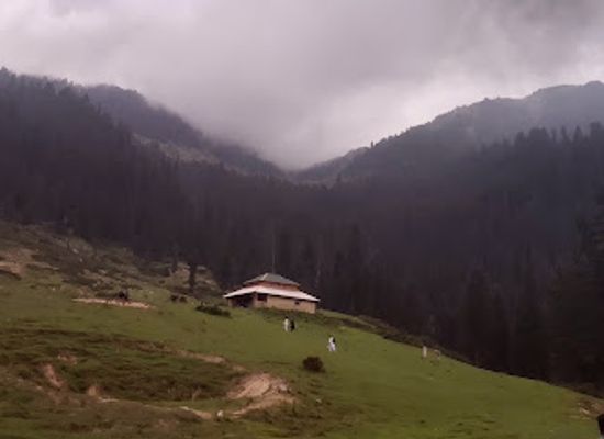 pakistan/swat/landmark/jarogo-meadows