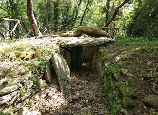 italy/maremma/landmark/necropoli-etrusca-del-puntone