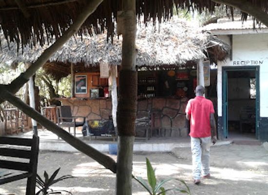 kenya/malindi/landmark/falconry-of-kenya-ltd