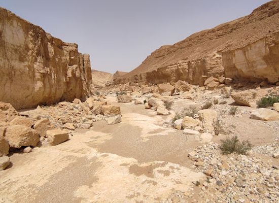 israel/southern-district/landmark/ramat-saharonim