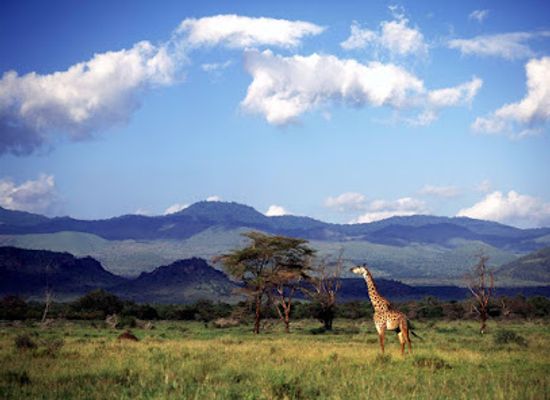 kenya/samburu-national-reserve/landmark/chyulu-hills-national-park