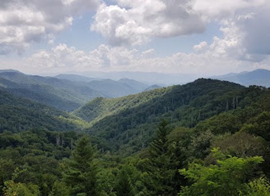 north-carolina/great-smoky-mountains/landmark/collins-creek-picnic-area