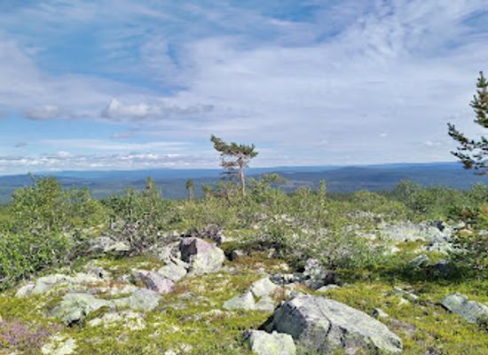 sweden/lindvallen/attraction/fulufjallet-national-park
