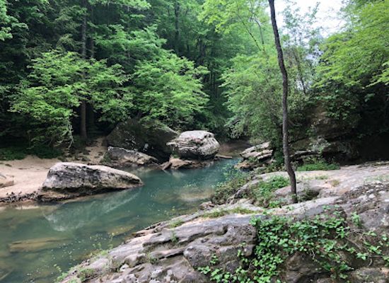 alabama/shoals/landmark/sipsey-river-picnic-area