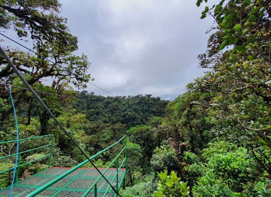 costa-rica/monteverde-cloud-forest/landmark/treetopia-park