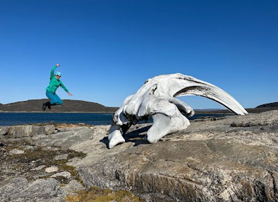 canada/nunavut/landmark/kekerten-territorial-park