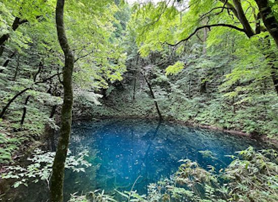 japan/chikuzen/landmark/aoike