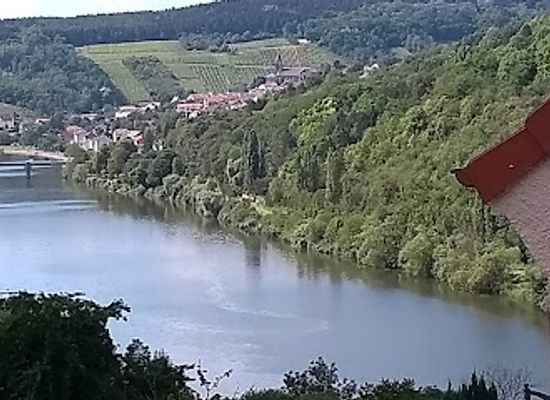 luxembourg/remich/landmark/croisiere-a-remich-bateaux-roudeleiw-riverdiva-muselscheff-de-navitours