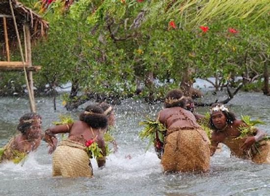 vanuatu/shefa-province/landmark/trek-vanuatu