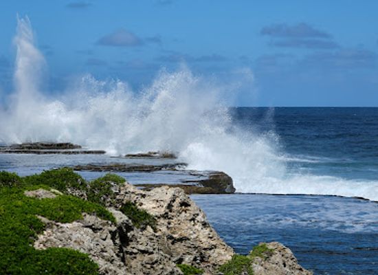 tonga/nuku-island/landmark/mapu-a-vaea-blowholes