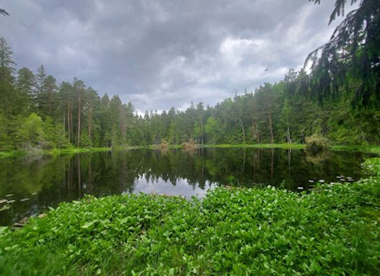 latvia/talsi/landmark/sapnu-ezers