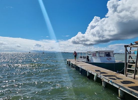 honduras/utila/landmark/underwater-vision